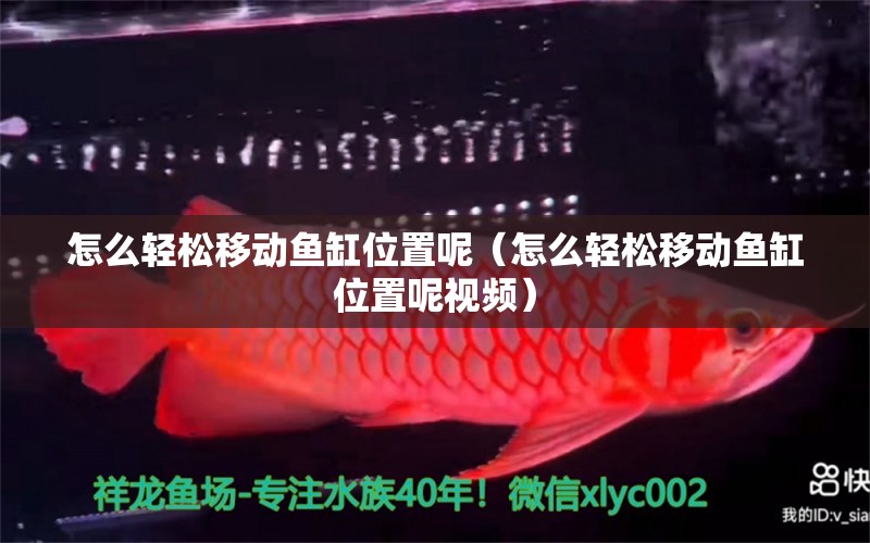 怎么輕松移動魚缸位置呢（怎么輕松移動魚缸位置呢視頻） 其他品牌魚缸