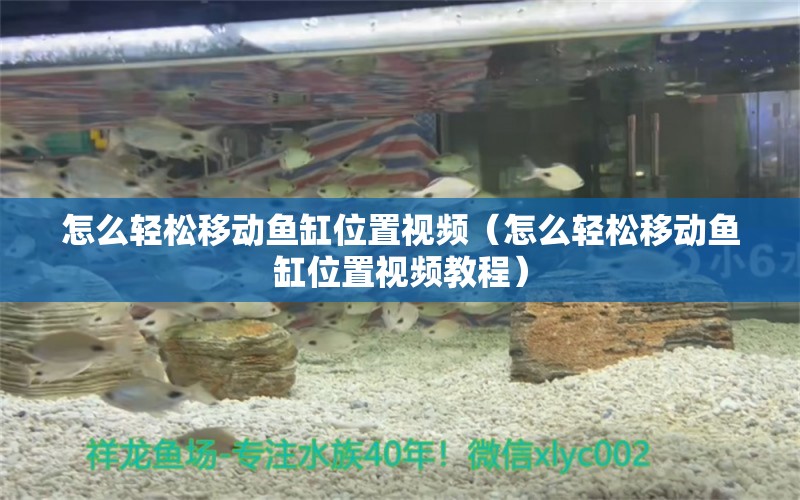 怎么輕松移動(dòng)魚缸位置視頻（怎么輕松移動(dòng)魚缸位置視頻教程）