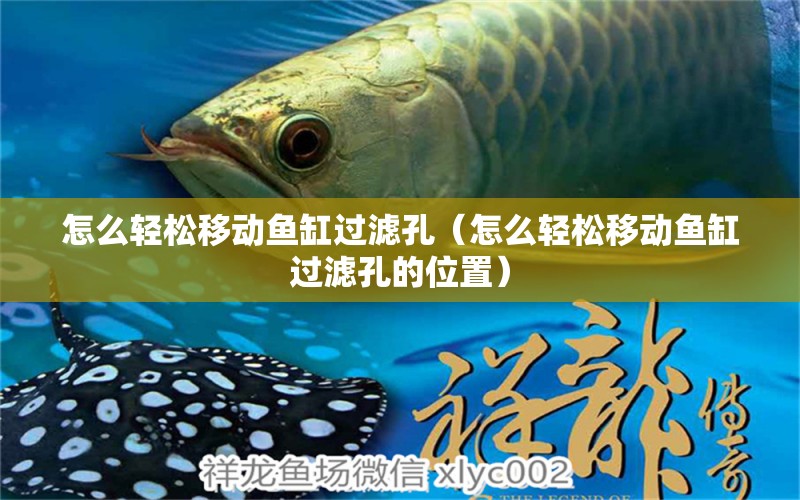 怎么輕松移動(dòng)魚缸過濾孔（怎么輕松移動(dòng)魚缸過濾孔的位置）