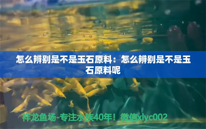 怎么辨別是不是玉石原料：怎么辨別是不是玉石原料呢 文玩