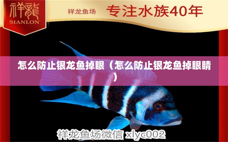 怎么防止銀龍魚掉眼（怎么防止銀龍魚掉眼睛）