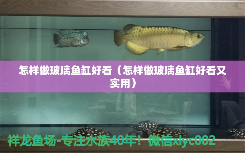 怎樣做玻璃魚缸好看（怎樣做玻璃魚缸好看又實(shí)用） 龍魚芯片掃碼器