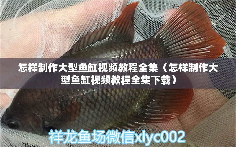 怎樣制作大型魚缸視頻教程全集（怎樣制作大型魚缸視頻教程全集下載）