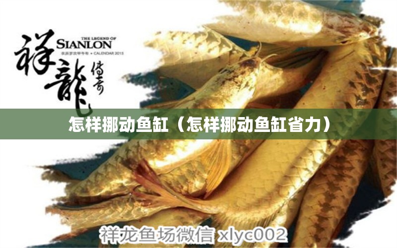 怎樣挪動(dòng)魚缸（怎樣挪動(dòng)魚缸省力）