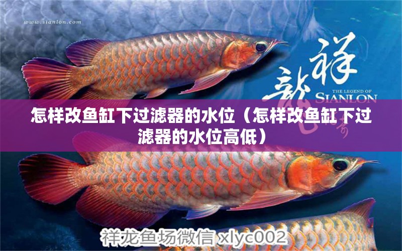 怎樣改魚缸下過濾器的水位（怎樣改魚缸下過濾器的水位高低）