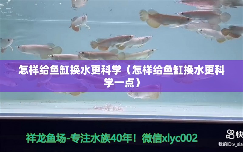 怎樣給魚缸換水更科學(xué)（怎樣給魚缸換水更科學(xué)一點(diǎn)）