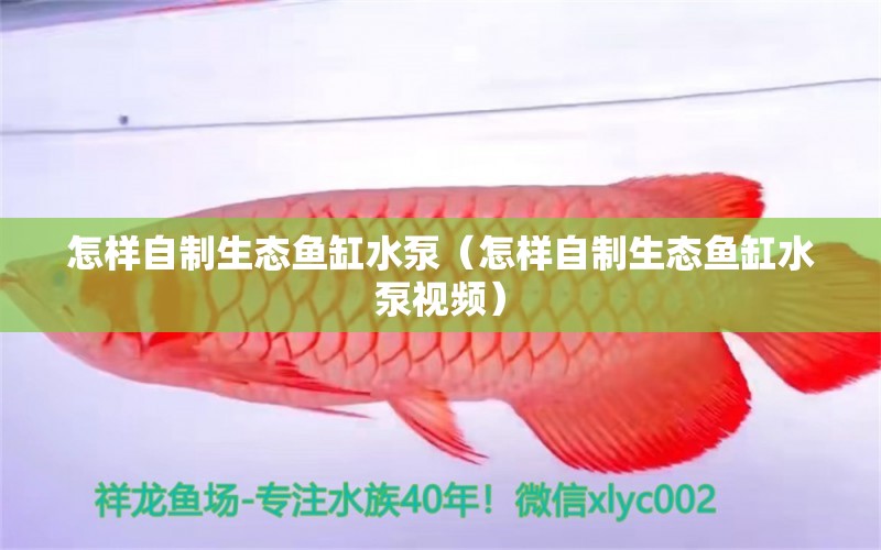 怎樣自制生態(tài)魚缸水泵（怎樣自制生態(tài)魚缸水泵視頻）