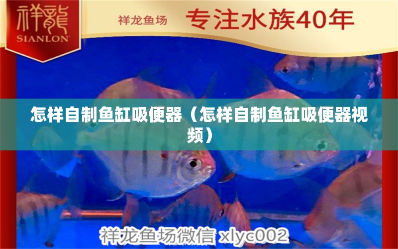 怎樣自制魚缸吸便器（怎樣自制魚缸吸便器視頻） 量子養(yǎng)魚技術