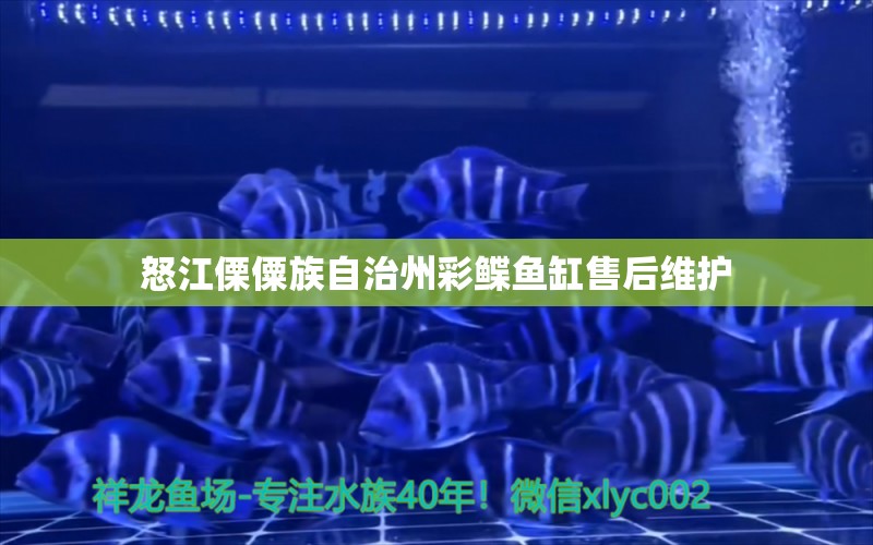 怒江傈僳族自治州彩鰈魚缸售后維護(hù)