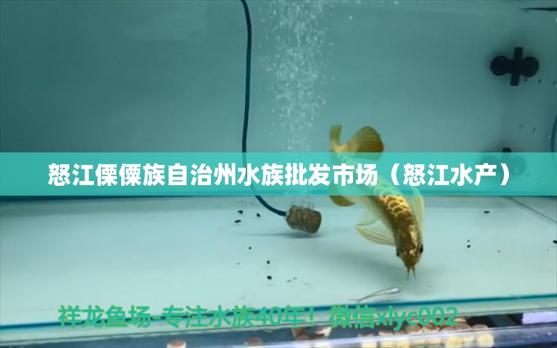 怒江傈僳族自治州水族批發(fā)市場(chǎng)（怒江水產(chǎn)） 觀賞魚(yú)水族批發(fā)市場(chǎng)