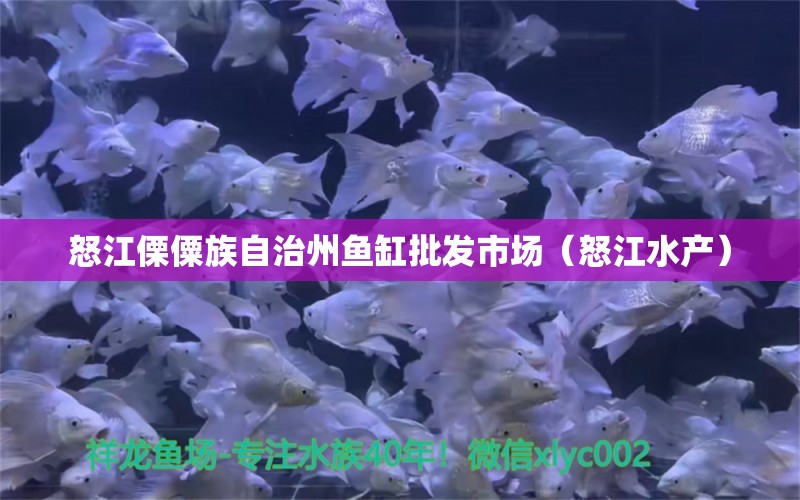 怒江傈僳族自治州魚缸批發(fā)市場（怒江水產(chǎn)） 觀賞魚水族批發(fā)市場