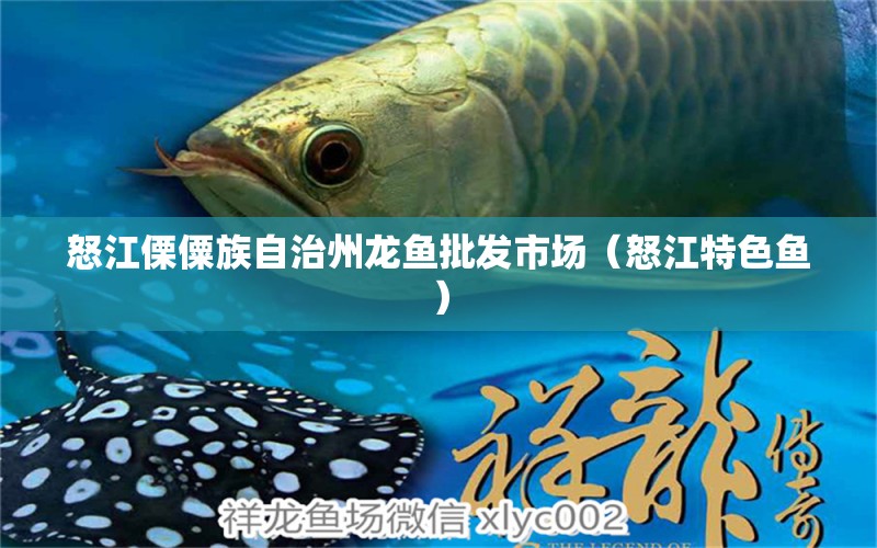 怒江傈僳族自治州龍魚批發(fā)市場（怒江特色魚） 龍魚批發(fā)