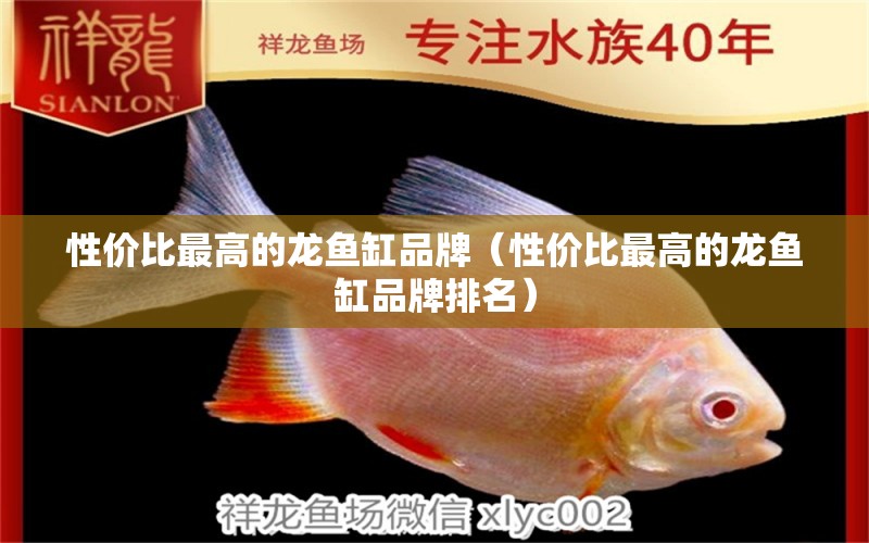 性價(jià)比最高的龍魚缸品牌（性價(jià)比最高的龍魚缸品牌排名） 圖騰金龍魚