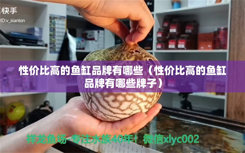 性價比高的魚缸品牌有哪些（性價比高的魚缸品牌有哪些牌子）