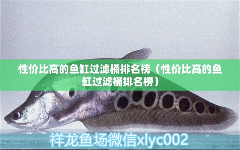 性價比高的魚缸過濾桶排名榜（性價比高的魚缸過濾桶排名榜） 祥龍水族醫(yī)院