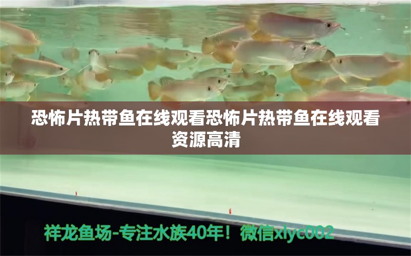 恐怖片熱帶魚在線觀看恐怖片熱帶魚在線觀看資源高清 帝王迷宮魚