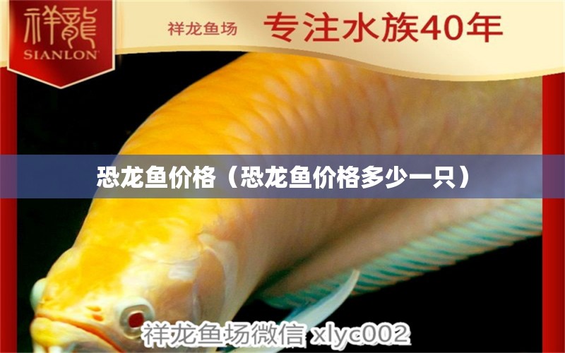 恐龍魚(yú)價(jià)格（恐龍魚(yú)價(jià)格多少一只）