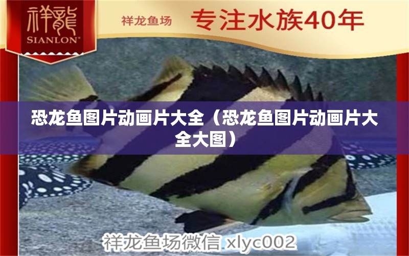 恐龍魚圖片動畫片大全（恐龍魚圖片動畫片大全大圖） 祥龍水族醫(yī)院