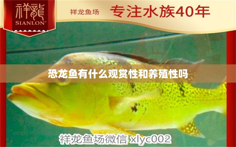 恐龍魚有什么觀賞性和養(yǎng)殖性嗎