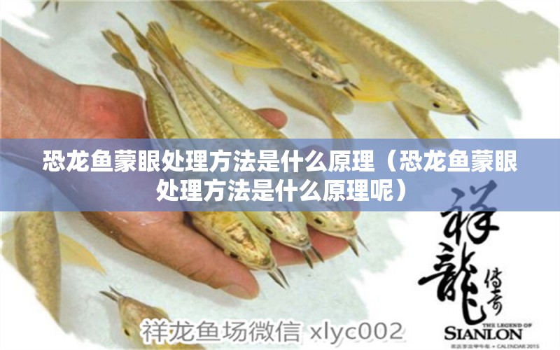 恐龍魚蒙眼處理方法是什么原理（恐龍魚蒙眼處理方法是什么原理呢） 祥龍水族醫(yī)院