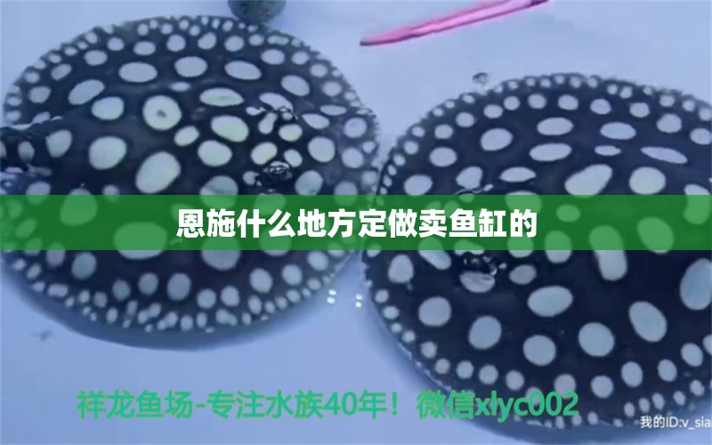 恩施什么地方定做賣魚缸的 其他品牌魚缸