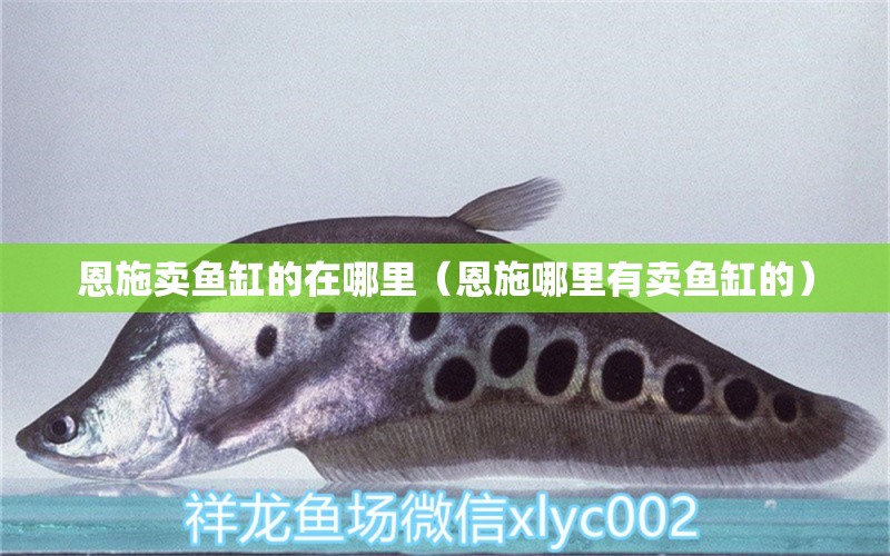 恩施賣魚缸的在哪里（恩施哪里有賣魚缸的） 其他品牌魚缸