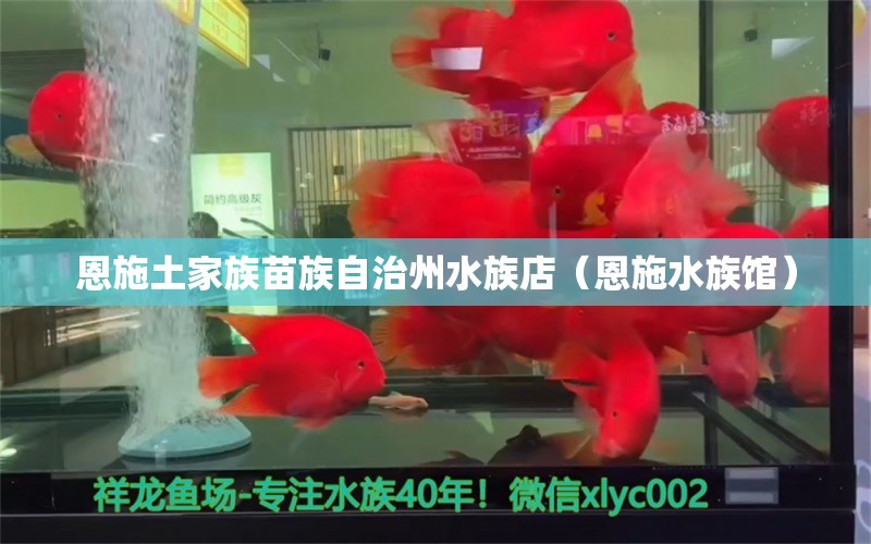 恩施土家族苗族自治州水族店（恩施水族館） 觀賞魚市場(chǎng)