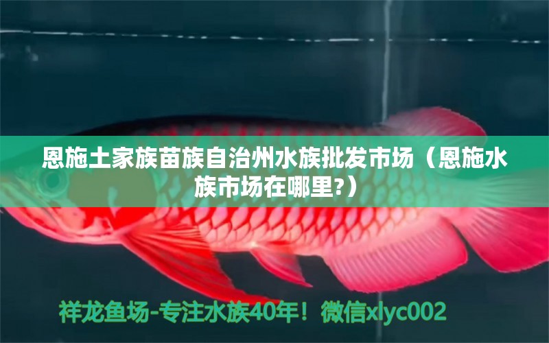 恩施土家族苗族自治州水族批發(fā)市場（恩施水族市場在哪里?）