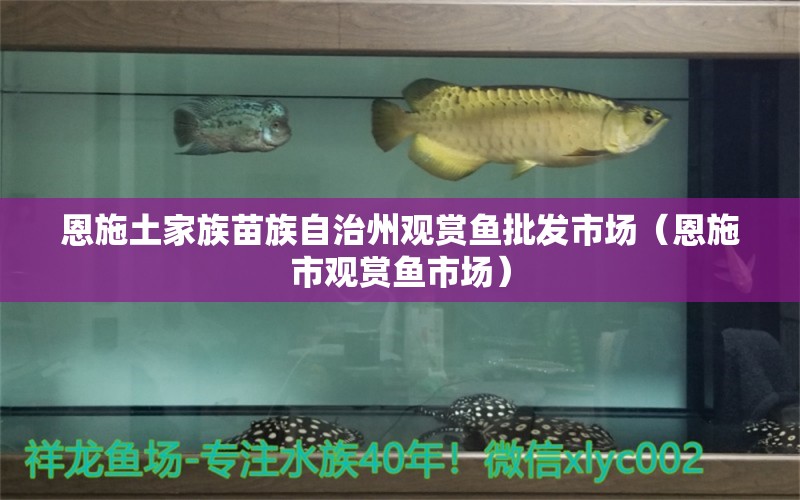 恩施土家族苗族自治州觀賞魚批發(fā)市場（恩施市觀賞魚市場）