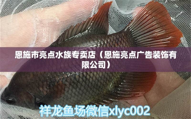 恩施市亮點水族專賣店（恩施亮點廣告裝飾有限公司）