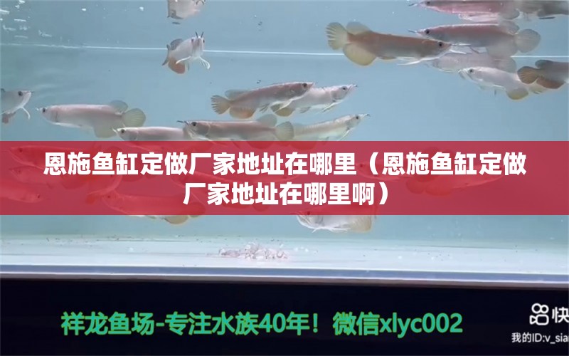 恩施魚缸定做廠家地址在哪里（恩施魚缸定做廠家地址在哪里?。?黑水素