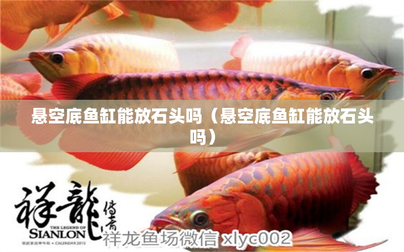 懸空底魚缸能放石頭嗎（懸空底魚缸能放石頭嗎） 胭脂孔雀龍魚