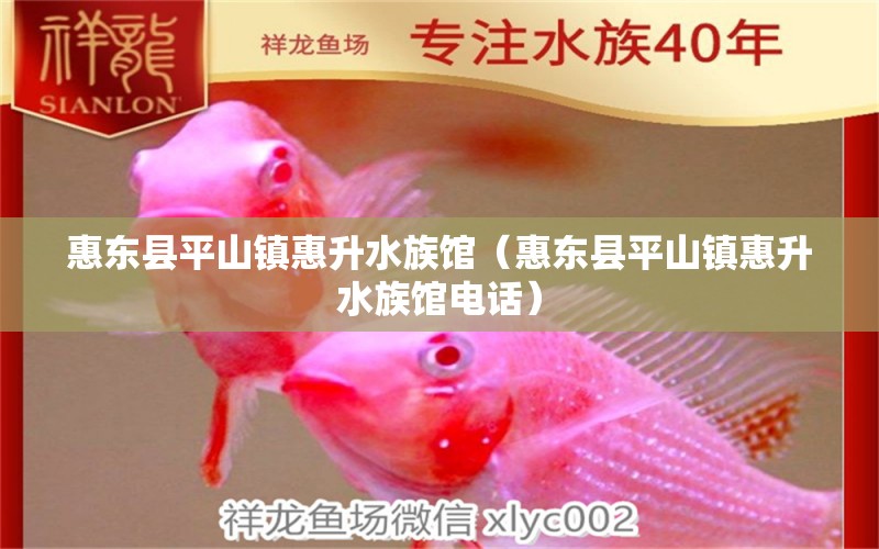 惠東縣平山鎮(zhèn)惠升水族館（惠東縣平山鎮(zhèn)惠升水族館電話） 全國水族館企業(yè)名錄