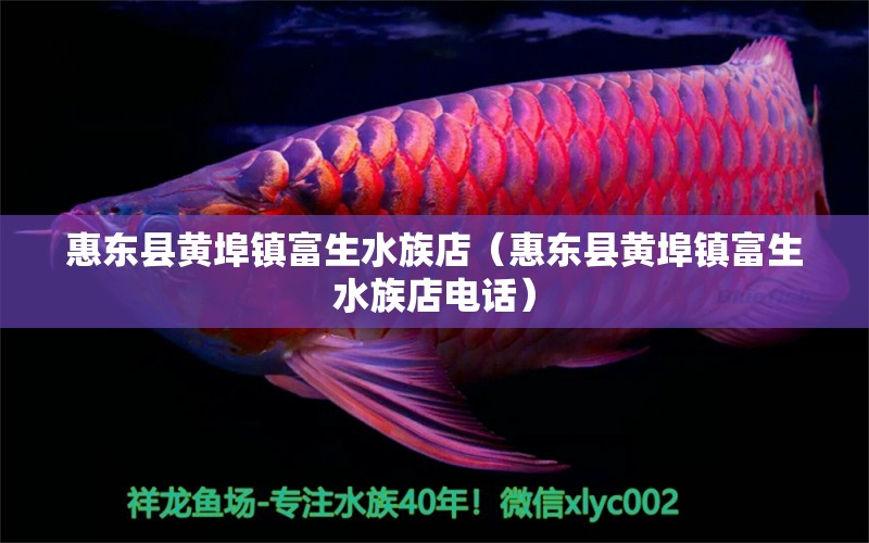 惠東縣黃埠鎮(zhèn)富生水族店（惠東縣黃埠鎮(zhèn)富生水族店電話） 全國(guó)水族館企業(yè)名錄