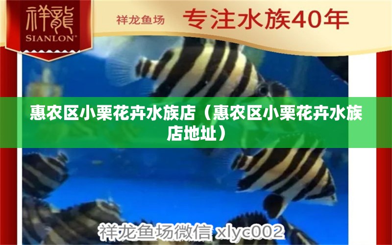 惠農(nóng)區(qū)小栗花卉水族店（惠農(nóng)區(qū)小栗花卉水族店地址） 全國水族館企業(yè)名錄