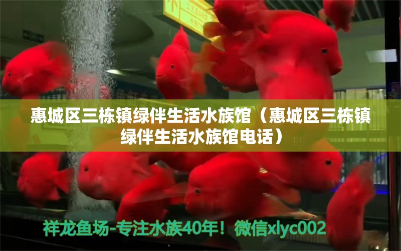 惠城區(qū)三棟鎮(zhèn)綠伴生活水族館（惠城區(qū)三棟鎮(zhèn)綠伴生活水族館電話）