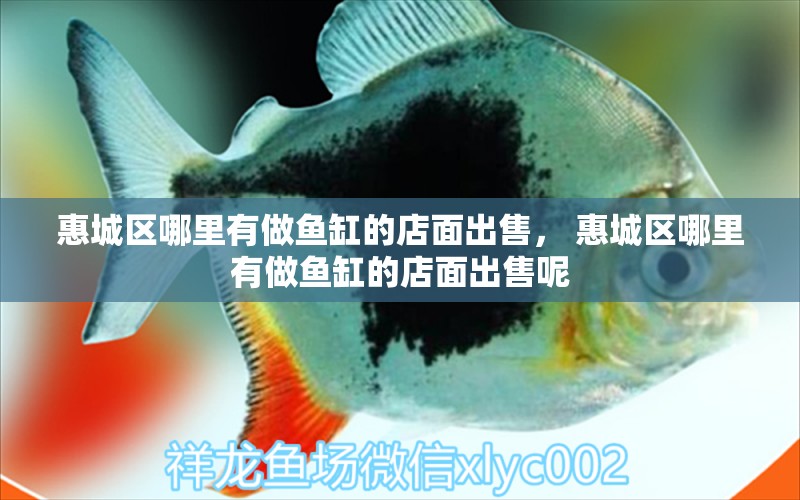 惠城區(qū)哪里有做魚缸的店面出售， 惠城區(qū)哪里有做魚缸的店面出售呢 元寶鳳凰魚專用魚糧