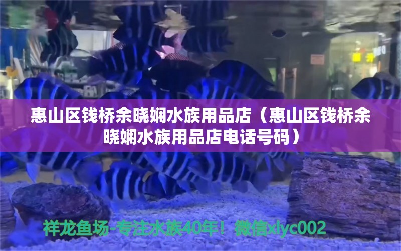 惠山區(qū)錢橋余曉嫻水族用品店（惠山區(qū)錢橋余曉嫻水族用品店電話號碼） 水族用品