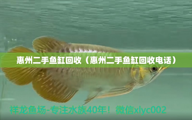 惠州二手魚缸回收（惠州二手魚缸回收電話）