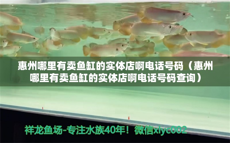 惠州哪里有賣魚缸的實體店啊電話號碼（惠州哪里有賣魚缸的實體店啊電話號碼查詢） 祥龍水族醫(yī)院