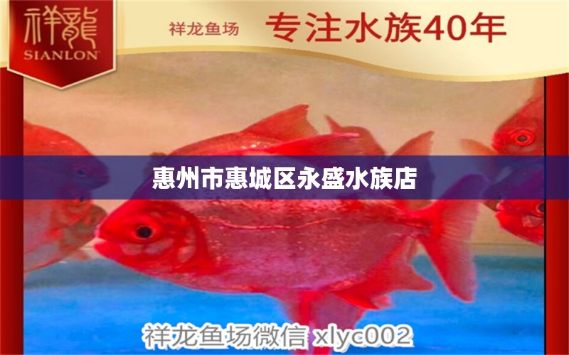 惠州市惠城區(qū)永盛水族店 全國水族館企業(yè)名錄