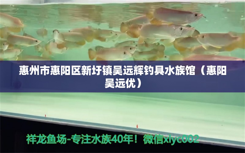 惠州市惠陽區(qū)新圩鎮(zhèn)吳遠輝釣具水族館（惠陽吳遠優(yōu)）