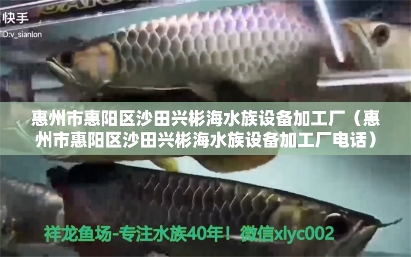 惠州市惠陽(yáng)區(qū)沙田興彬海水族設(shè)備加工廠（惠州市惠陽(yáng)區(qū)沙田興彬海水族設(shè)備加工廠電話） 全國(guó)水族館企業(yè)名錄