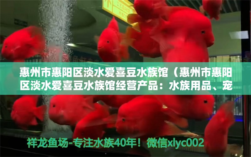 惠州市惠陽(yáng)區(qū)淡水愛喜豆水族館（惠州市惠陽(yáng)區(qū)淡水愛喜豆水族館經(jīng)營(yíng)產(chǎn)品：水族用品、寵物及用品） 全國(guó)觀賞魚市場(chǎng) 第2張