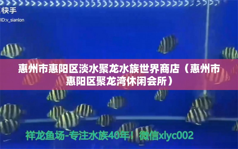 惠州市惠陽區(qū)淡水聚龍水族世界商店（惠州市惠陽區(qū)聚龍灣休閑會所） 全國水族館企業(yè)名錄