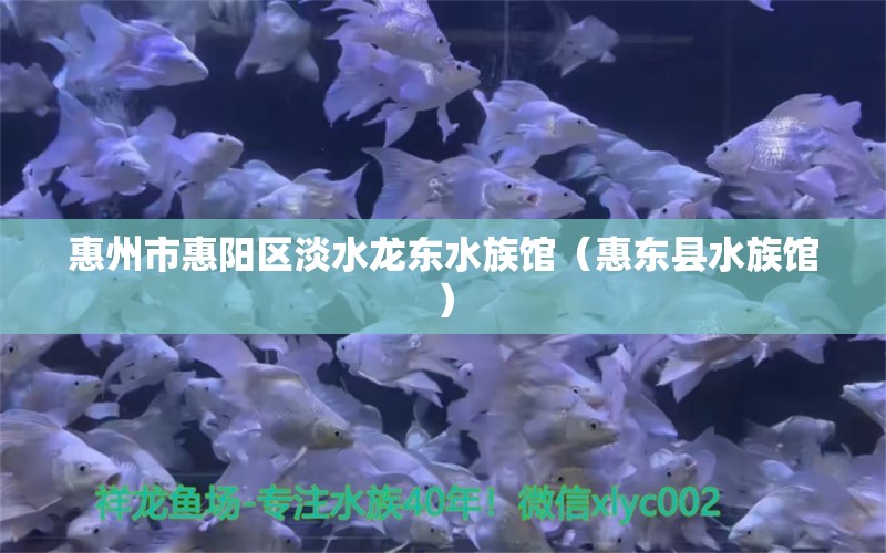 惠州市惠陽區(qū)淡水龍東水族館（惠東縣水族館）