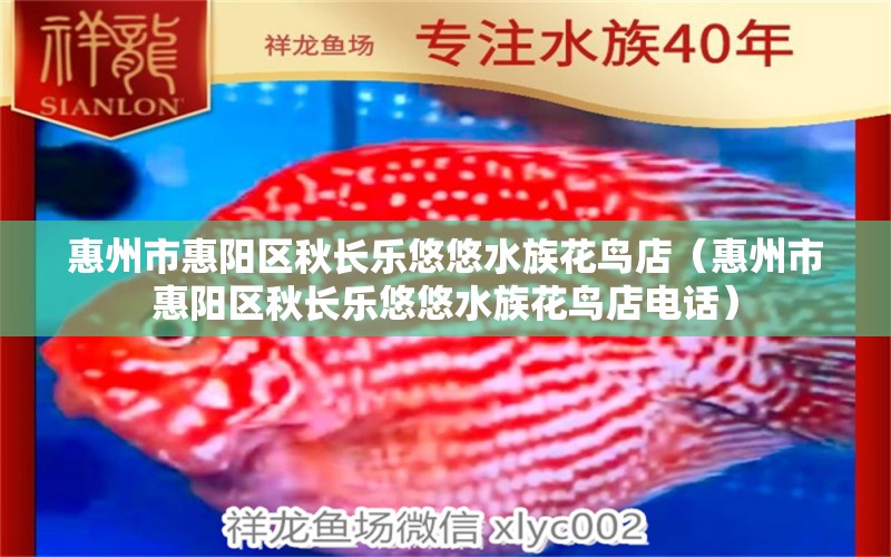 惠州市惠陽區(qū)秋長樂悠悠水族花鳥店（惠州市惠陽區(qū)秋長樂悠悠水族花鳥店電話）