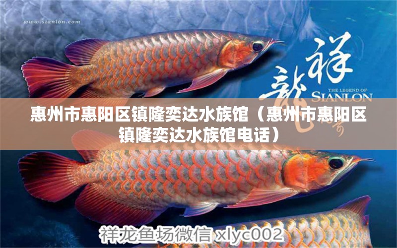 惠州市惠陽(yáng)區(qū)鎮(zhèn)隆奕達(dá)水族館（惠州市惠陽(yáng)區(qū)鎮(zhèn)隆奕達(dá)水族館電話） 全國(guó)水族館企業(yè)名錄