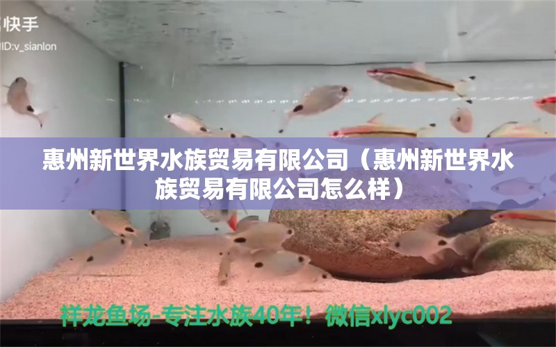 惠州新世界水族貿(mào)易有限公司（惠州新世界水族貿(mào)易有限公司怎么樣） 全國(guó)水族館企業(yè)名錄