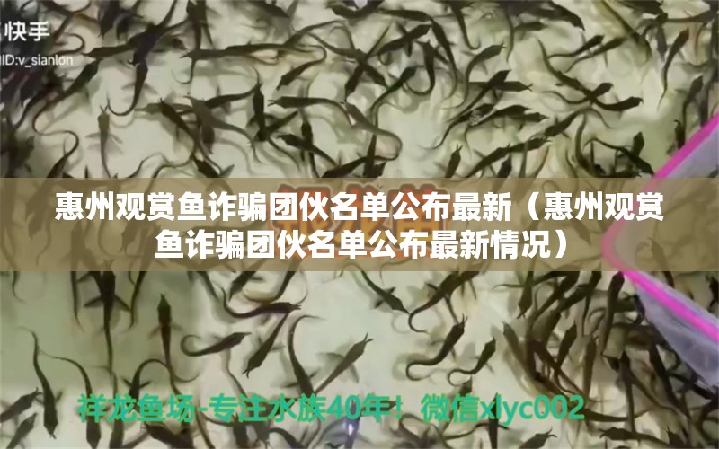 惠州觀賞魚詐騙團(tuán)伙名單公布最新（惠州觀賞魚詐騙團(tuán)伙名單公布最新情況）